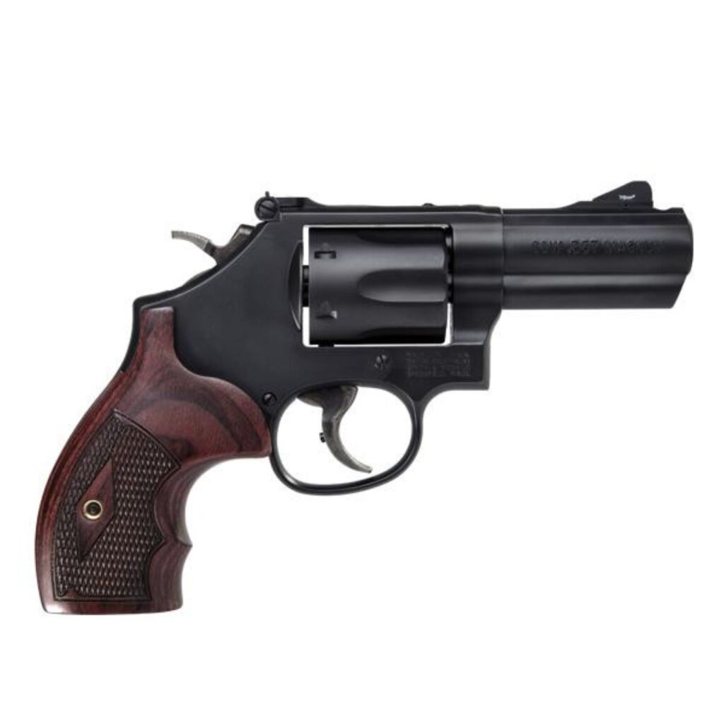 Model 19 Carry Comp