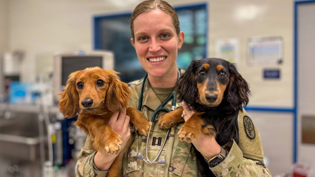 New Rules for Flying Patriot Express With a Pet — Plus a K PCS Benefit